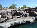 zoo 029
